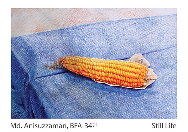 Md. Anisuzzaman - Still Life