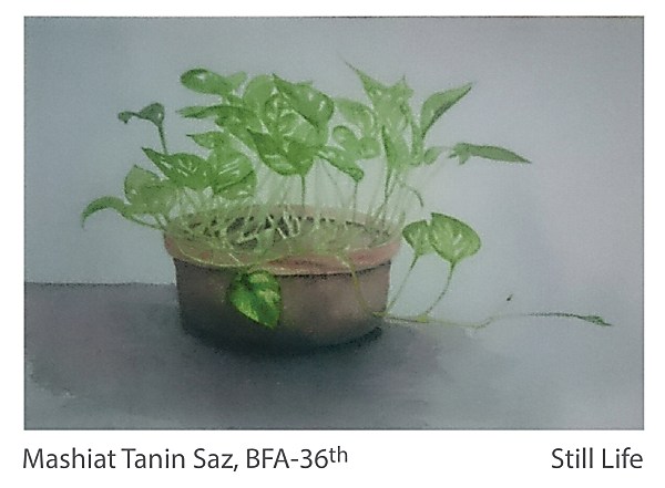 Mashiat Tanin Saz - Still Life