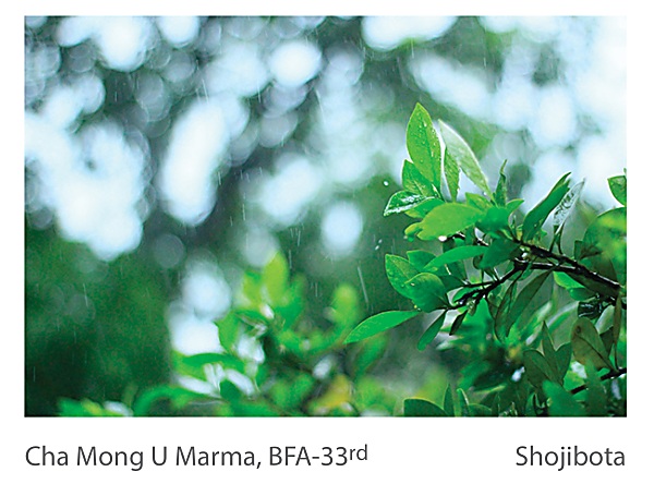 Cha Mong U Marma - Shojibota