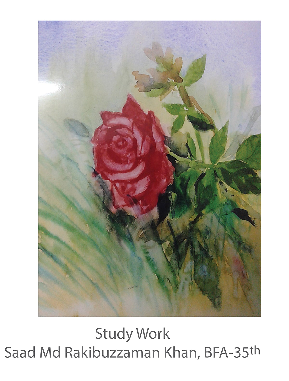 Study Work - Saad Md Rakibuzzaman Khan