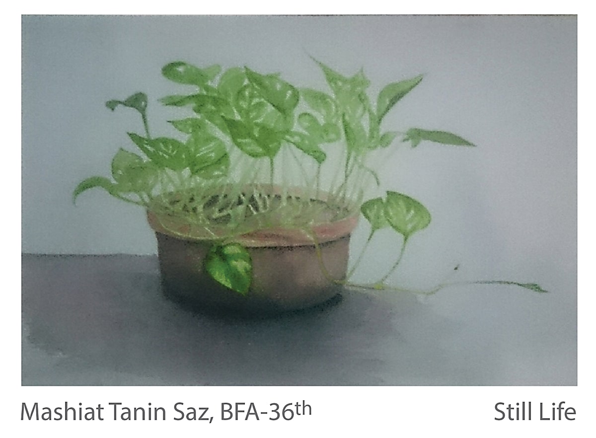 Still Life - Mashiat Tanin Saz