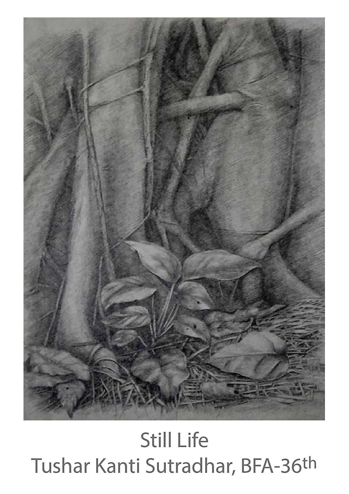 Still Life - Tushar Kanti Sutradhar