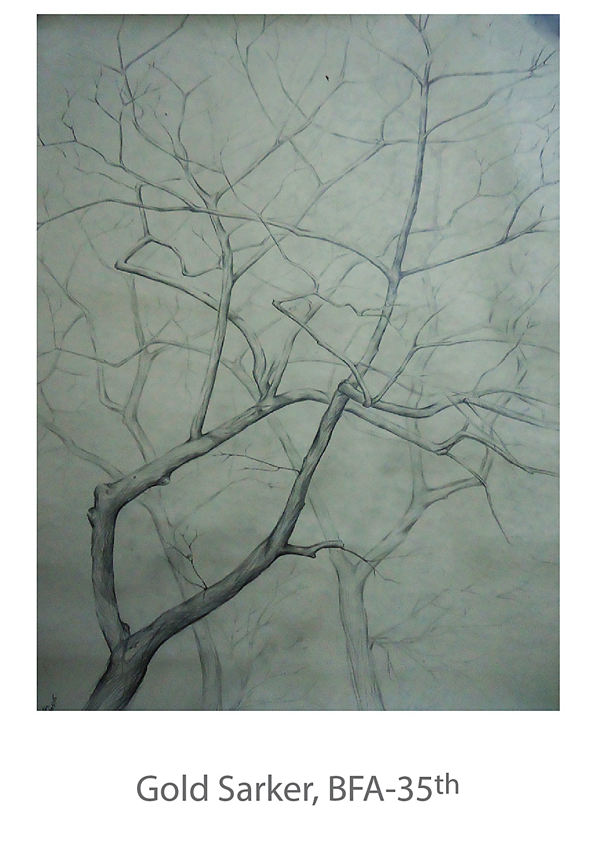 Untitled - Gold Sarker