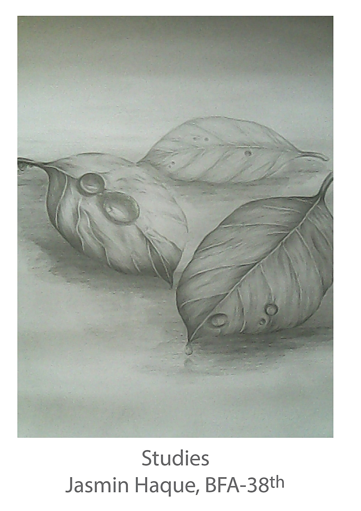 Studies - Jasmin Haque