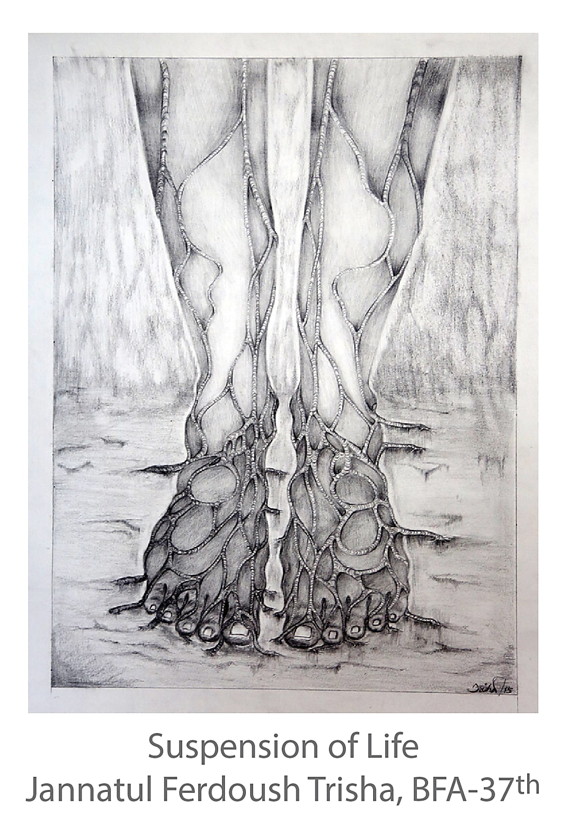 Suspension of Life - Jannatul Ferdoush Trisha