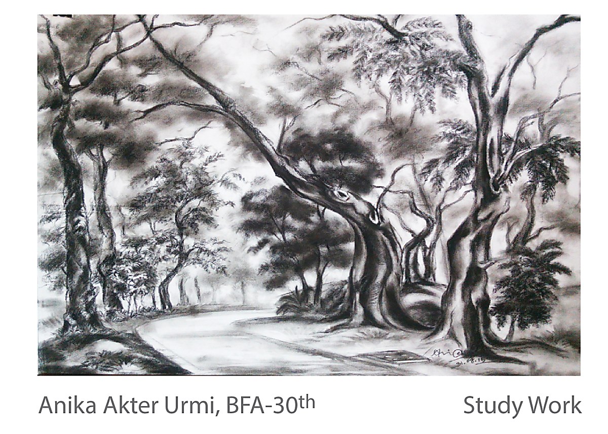 Study Work - Anika Akter Urmi