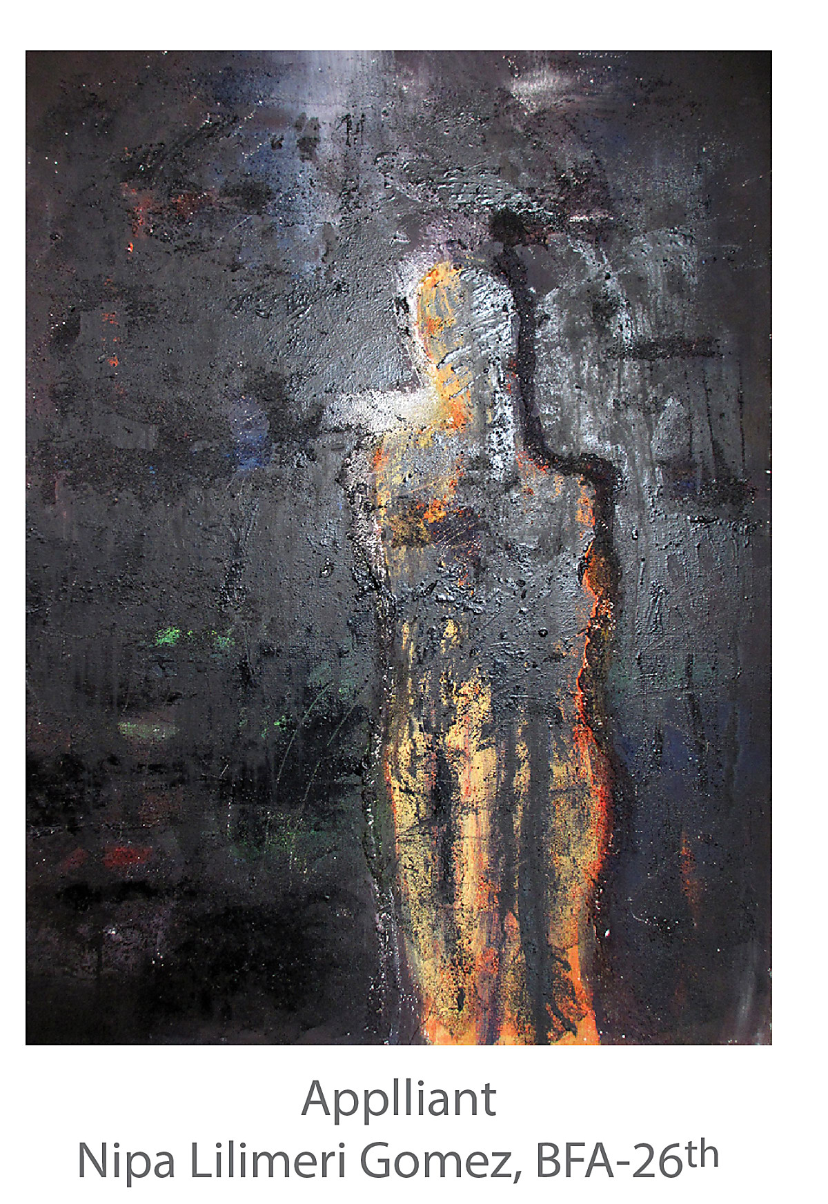 Applliant - Nipa Lilimeri Gomez