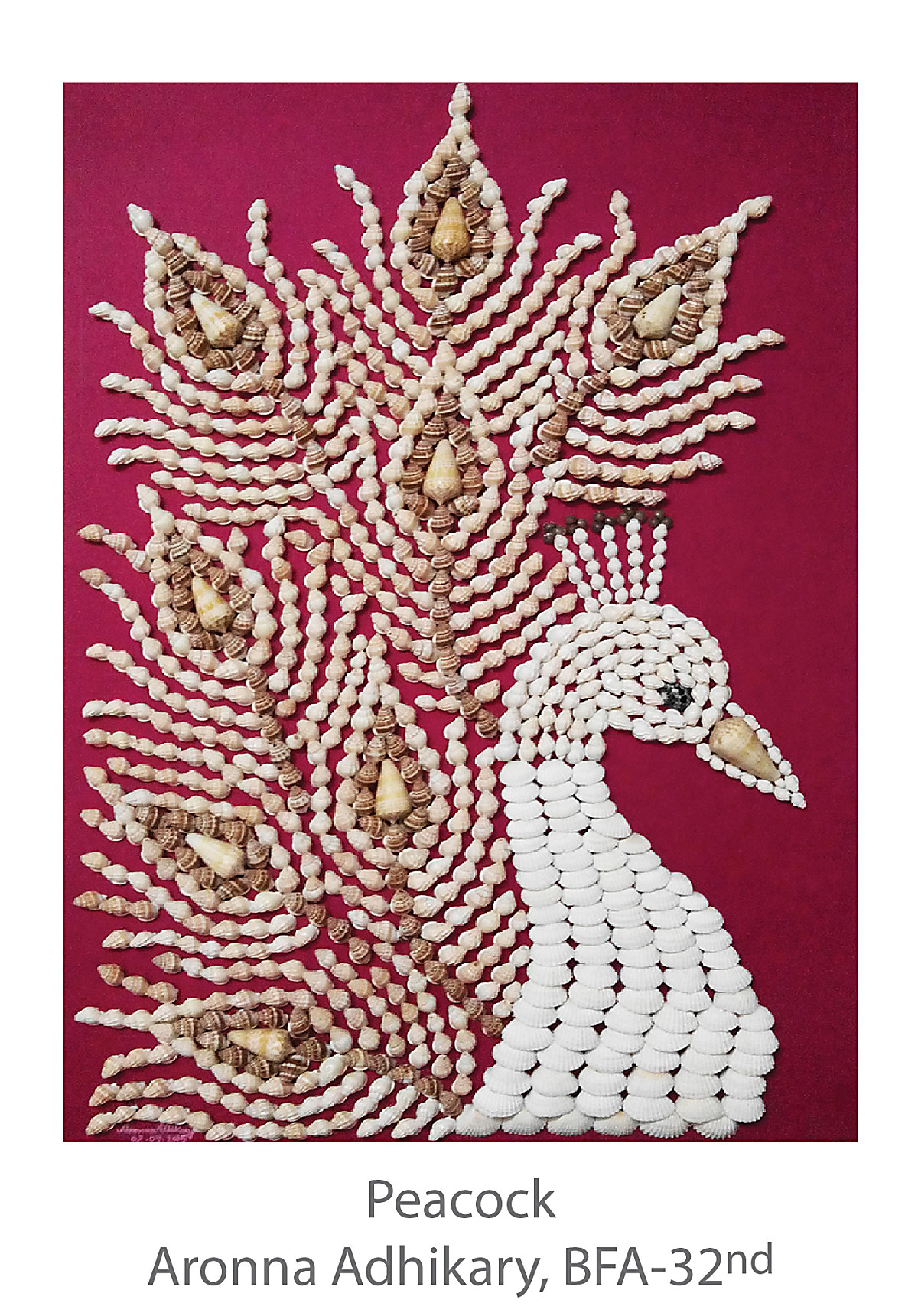 Peacock - Aronna Adhikary